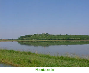 Montarolo